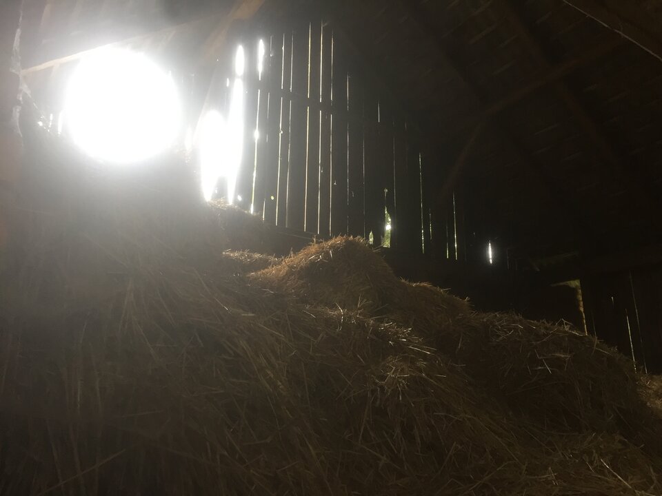 w stodole .JPG - DominatorD