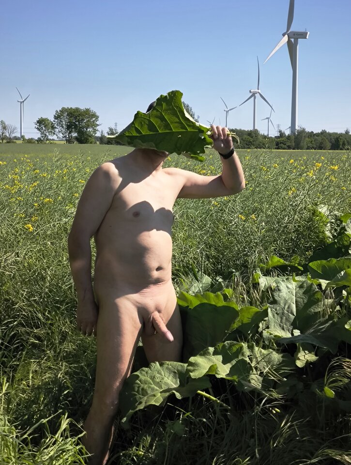 Listek niefigowy.jpg - lizus69