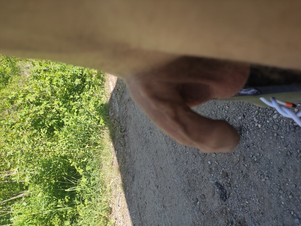 IMG_20240515_140144.jpg - Adamadam1978