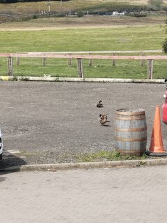 IMG_20240510_130753.jpg