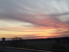 IMG_20240426_054742.jpg