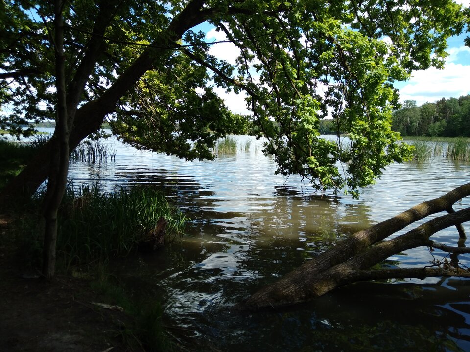 Na łonie natury - Swawolnylu