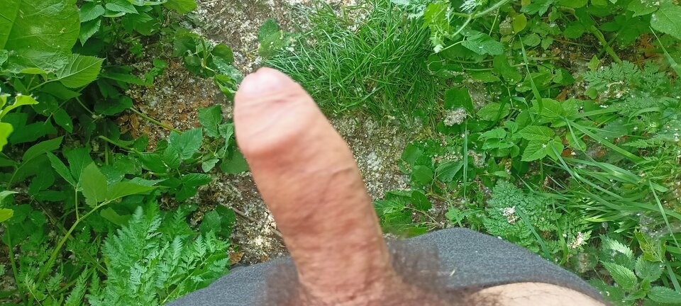 IMG20240516123705.jpg - jaca_89