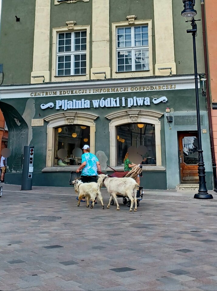 20240516_141734.jpg - Skorpion750