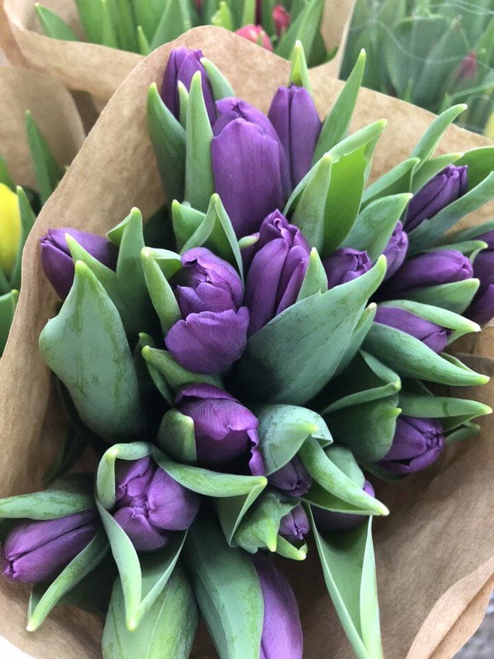 C0F29A05-7423-4665-8817-A7D212A2F64E.jpeg - BoskiRafaello