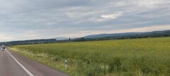 IMG_20240516_071523.jpg