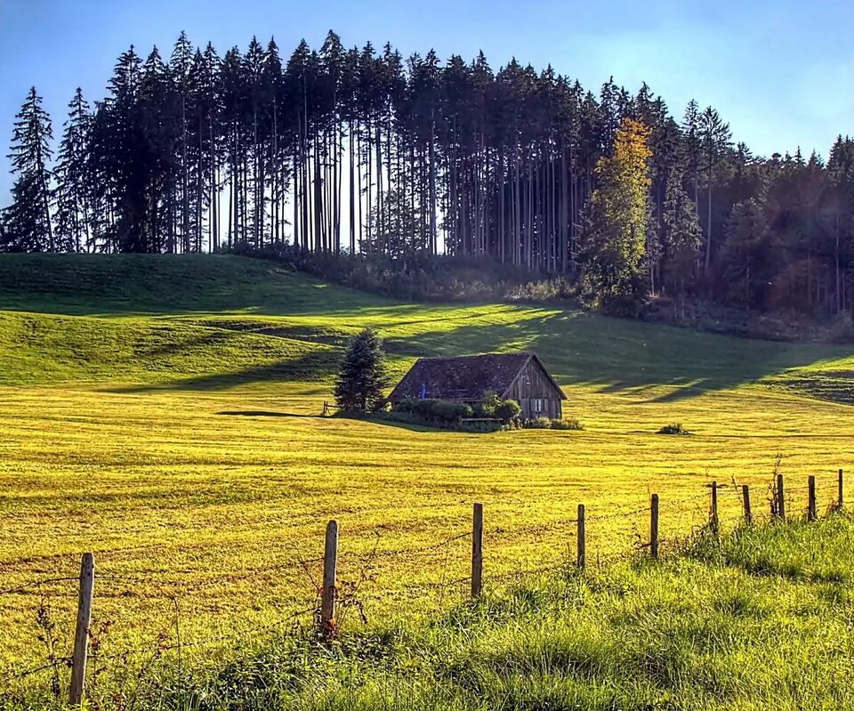 91s.jpeg - anaonymous