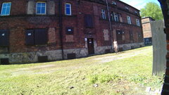 20240517_091903A.mp4_snapshot_01.06.456.jpg