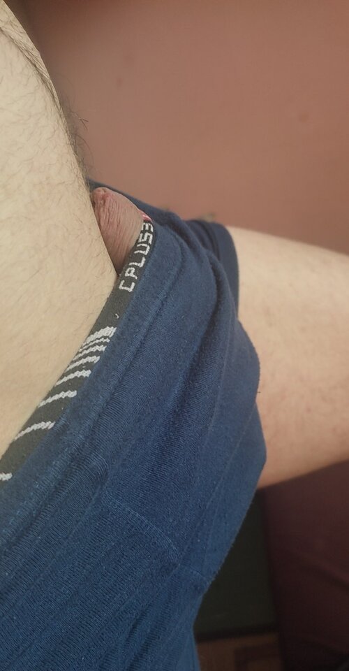 IMG_20240517_164835.jpg - Damianej