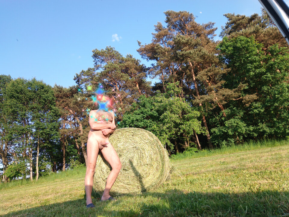 Lumii_20240517_185013467.jpg - arturx69