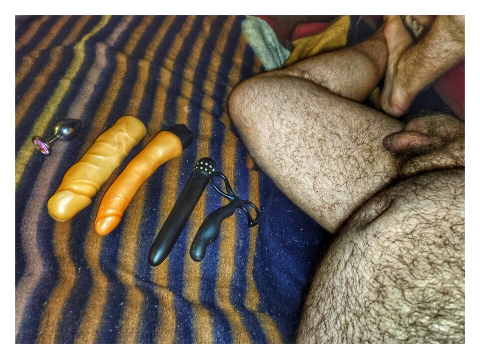 1000003847-01.jpeg - PuszystyLubuskie