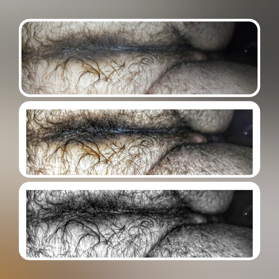 GridArt_20240518_022614330.jpg - PuszystyLubuskie