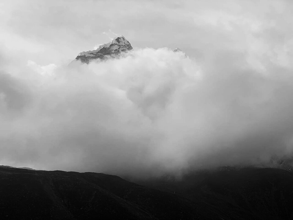 IMG_7786.jpeg - elpolaco