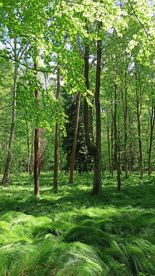 IMG20240516125941.jpg - Recos