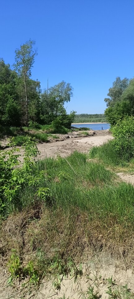 IMG20240518111724.jpg - Enrico61