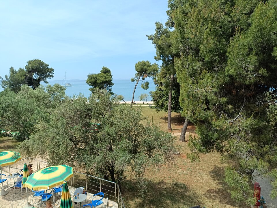 IMG_20240518_125154.jpg - Mando88