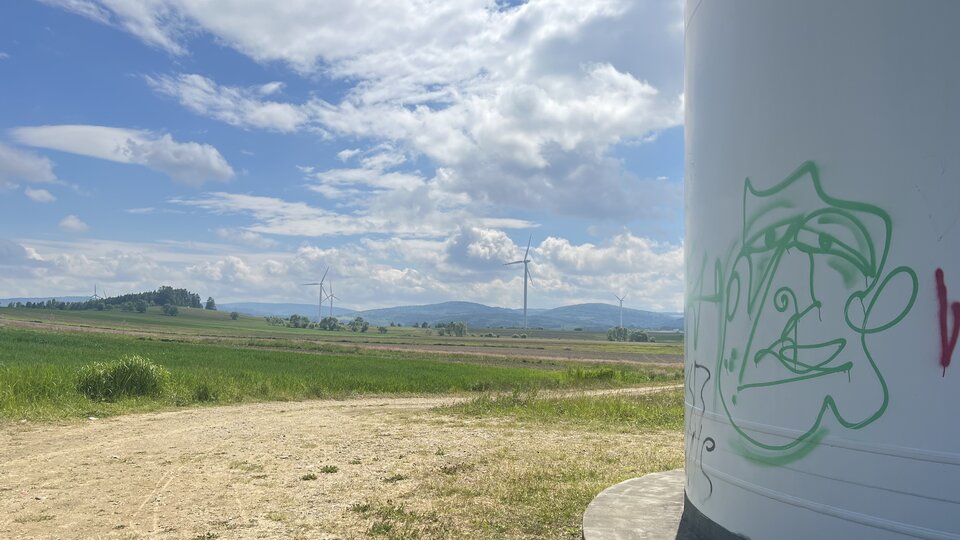 IMG_2452.jpeg - kteczek303030