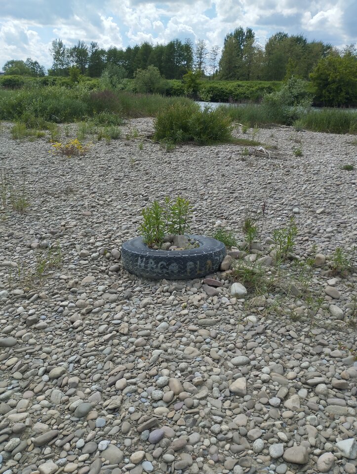 IMG_20240518_143155.jpg - Werseri8