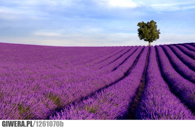 126107_e2018f10d24a6d546da311fb616fea29.jpg - Ms_Mrs_Adventure