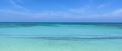 IMG_8500.jpeg