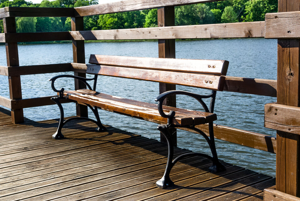 DSC08517.JPG - Roscoo