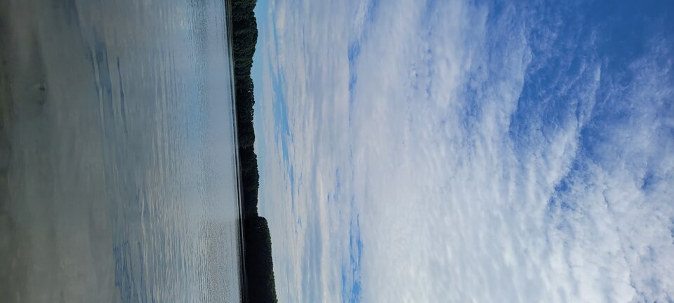 20240519_092614.jpg - Naturysta72