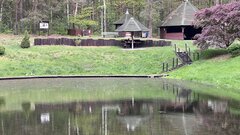 IMG_4206.jpeg