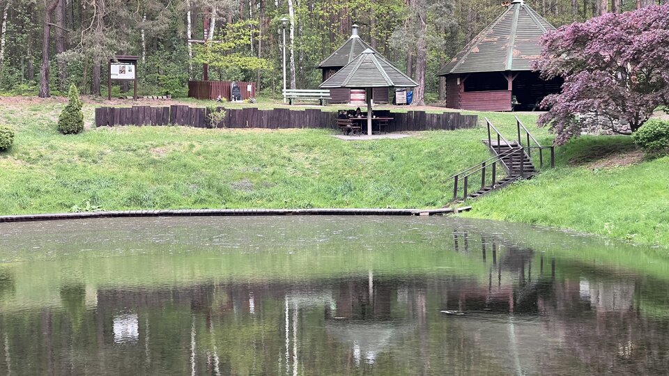 IMG_4206.jpeg - nrw670n