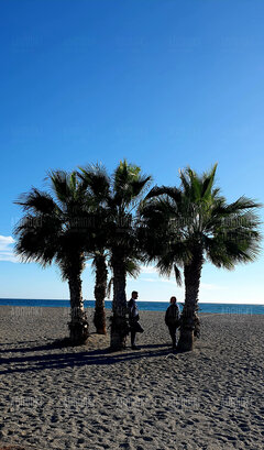 🌴🌴🌴🌴🌞🌞🌞❤️❤️❤️🇪🇸🇪🇸