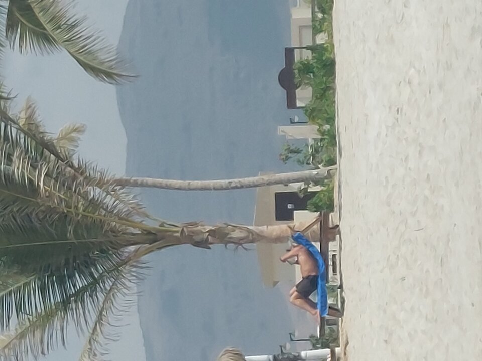 1000003743.jpg - Lion67