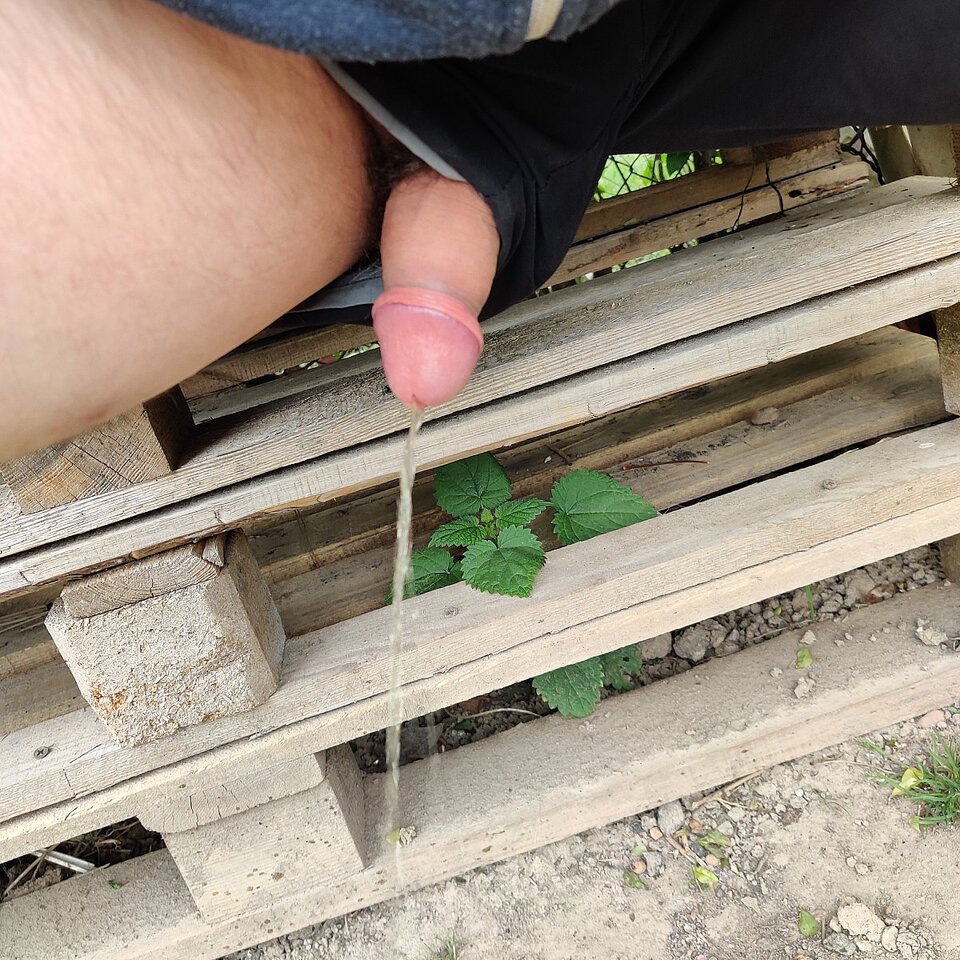 big_a561de476d882ac640531440f00ae3a2.jpg - Nibybisex82