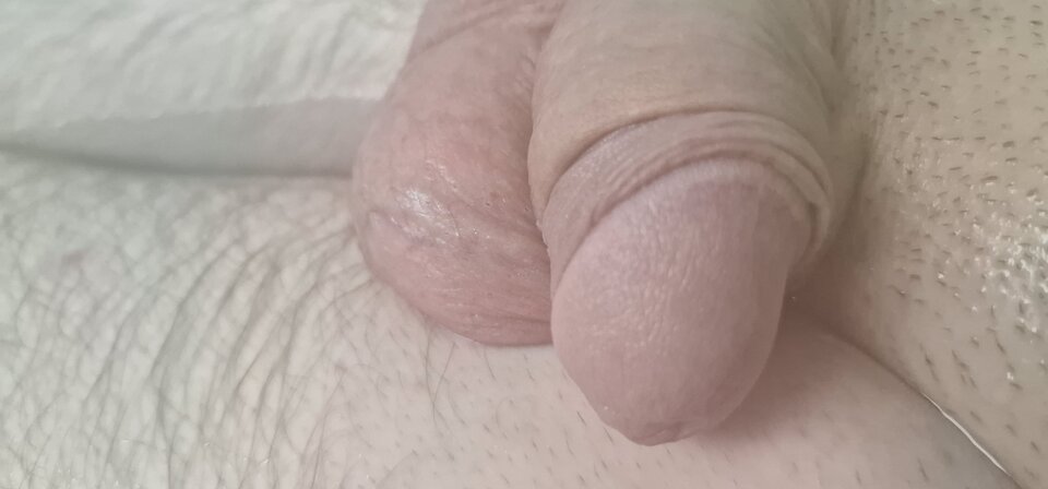 17161409847822500143237813775645.jpg - robin266