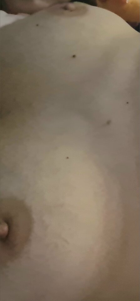 20240520_061224.jpg - kubotar