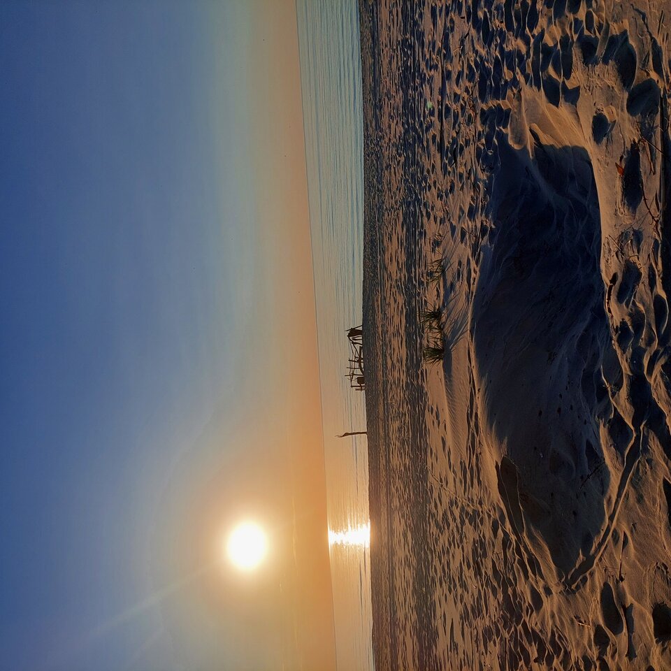 1000009374.jpg - Tygrysek57