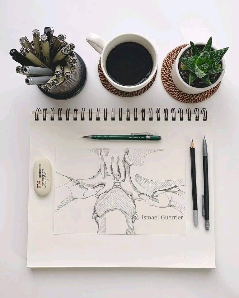 FB_IMG_1714998122507.jpg - jeffir