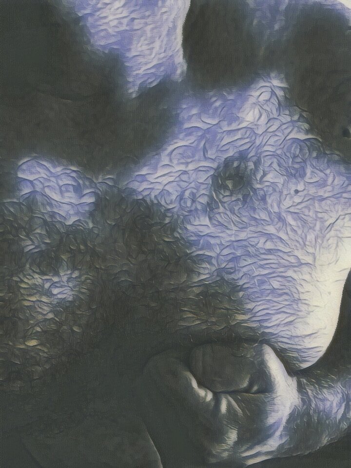 Wizerunek - Skromny_i_spokojny90