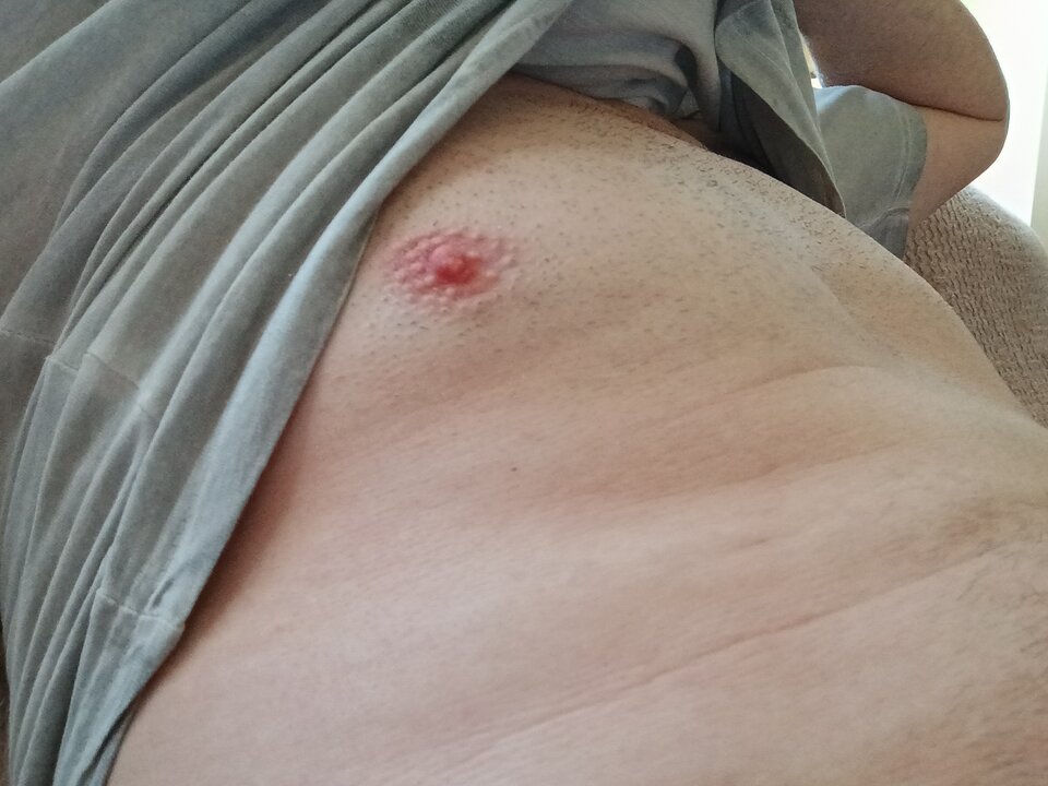 17162830276495568217716948089549.jpg - Palciusia