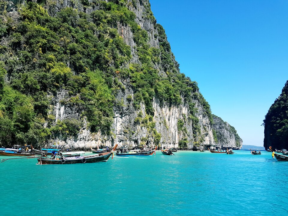 Profile - Tender_Hedonist