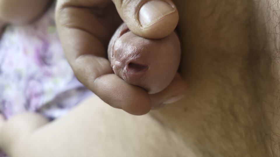 IMG-20240520-WA0005.jpeg - bakalututu