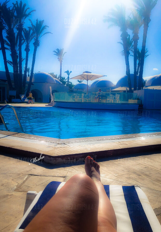 🌞🌞🌞🌞 - Duzamisia42