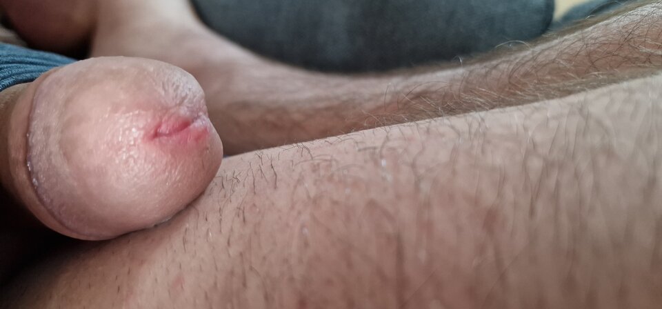 17163495089795774615583368398330.jpg - robin266