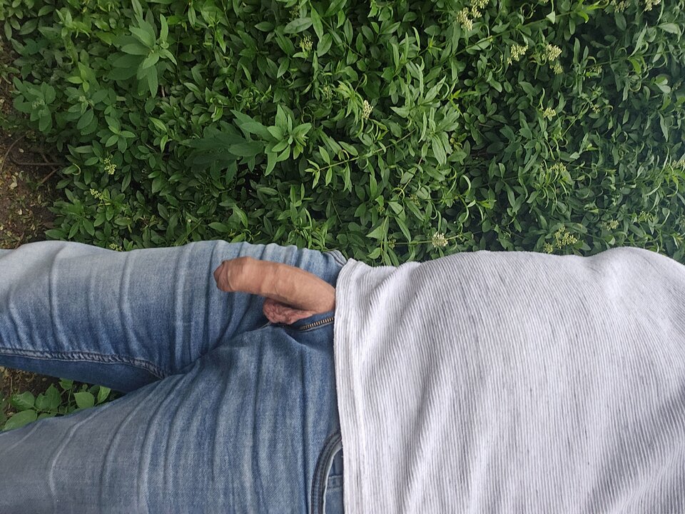 20240522_195233.jpg - marek252