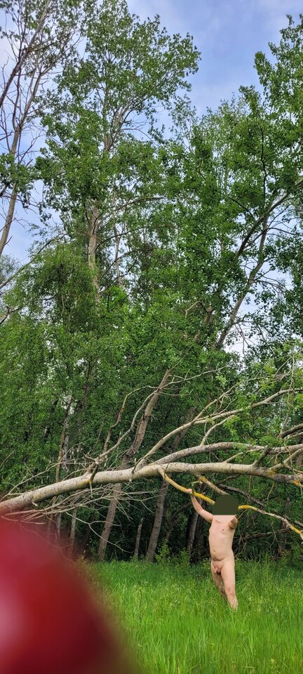 20240522_134111.jpg - Naturysta72