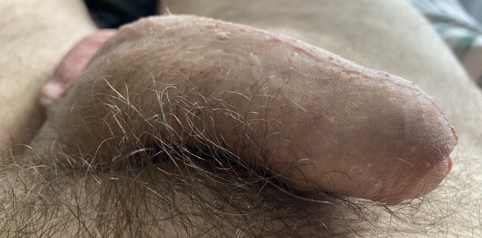 IMG_4224.jpeg - Consumatus