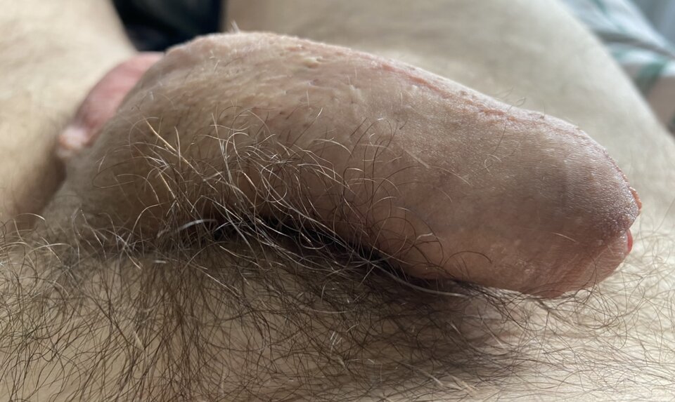 IMG_4223.jpeg - Consumatus