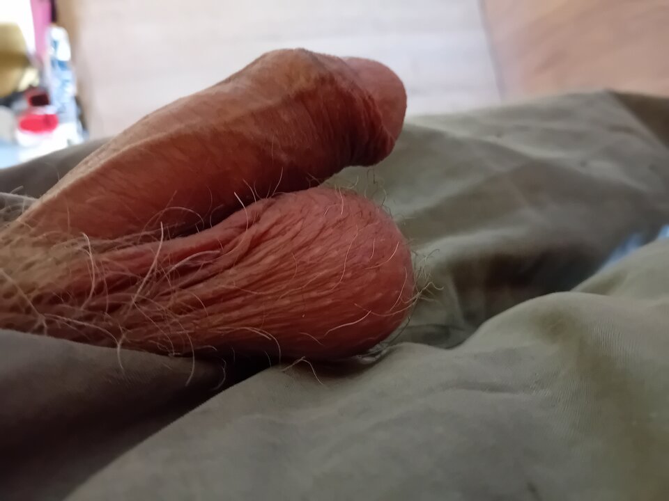 20240523_143931.jpg - brus13