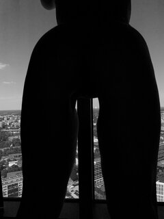 365.jpg