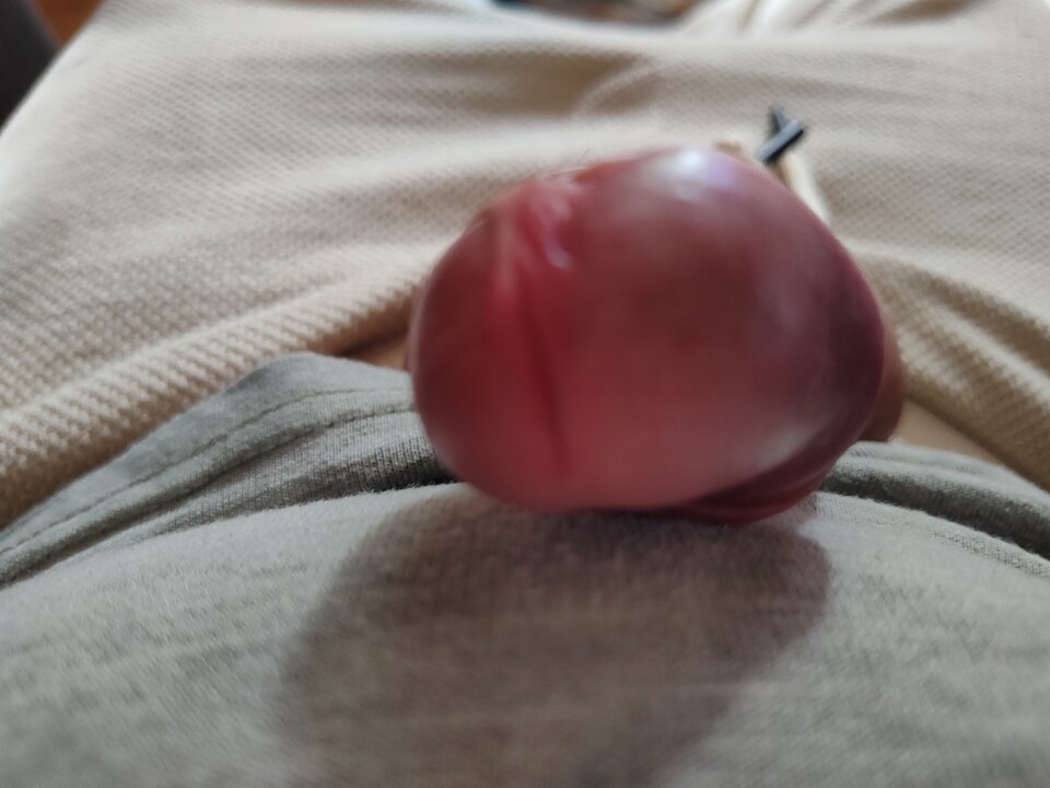 IMG_20240523_163612503.jpg - Analnykochanek