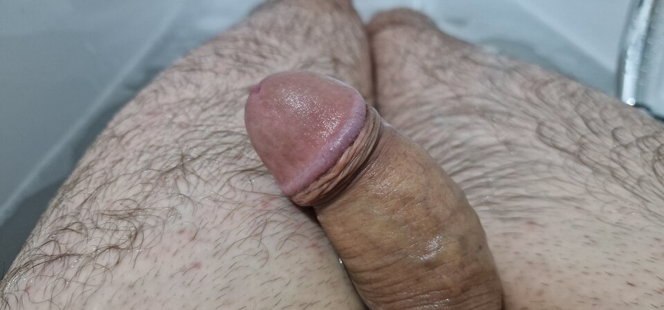 17164925727454642496769544309767.jpg - robin266