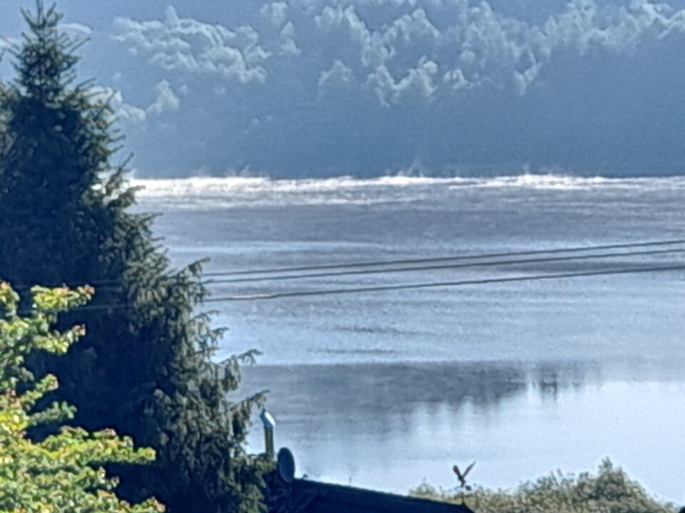 20240512_072449.jpg - Czarodzieje_alfa